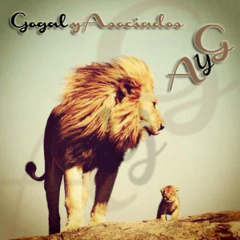 Imagen institucional de Gogal y Asociados con un león y un cachorro